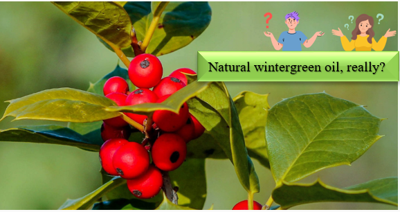 Wintergreen oil - Paano makikilala at masusubok ang mga sintetikong sangkap para sa pagiging natural?