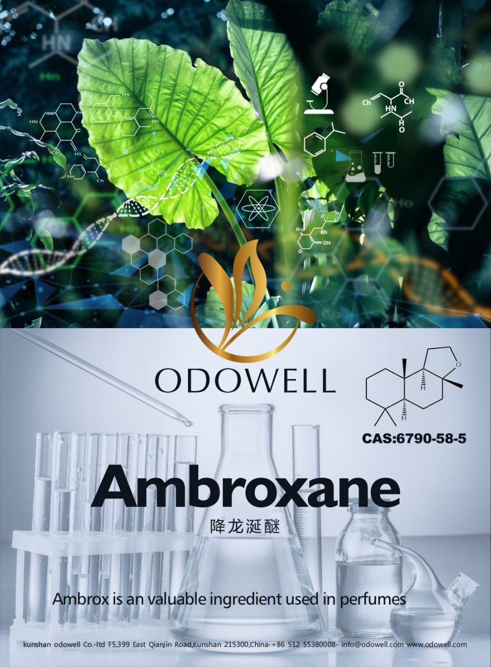 Ipinagdiriwang ni Odowell ang isang matagumpay na taon para sa Ambroxane (Ambrox)
