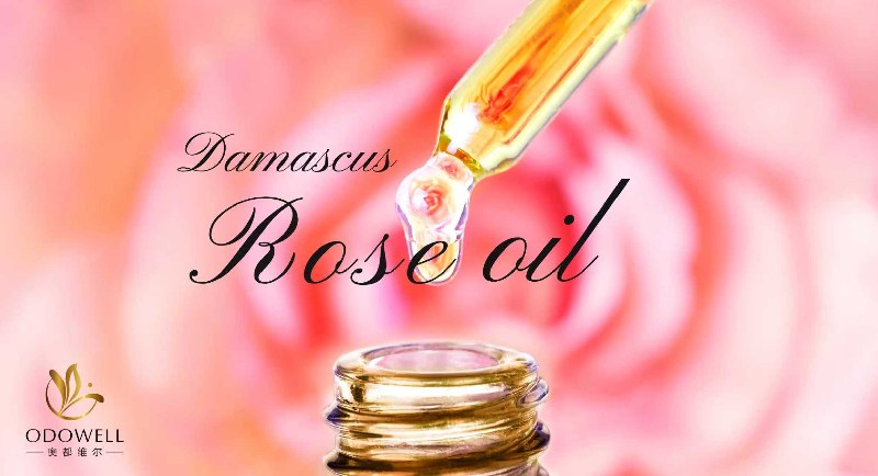 Inilunsad ni Odowell ang Premium Natural Damascus Rose Oil