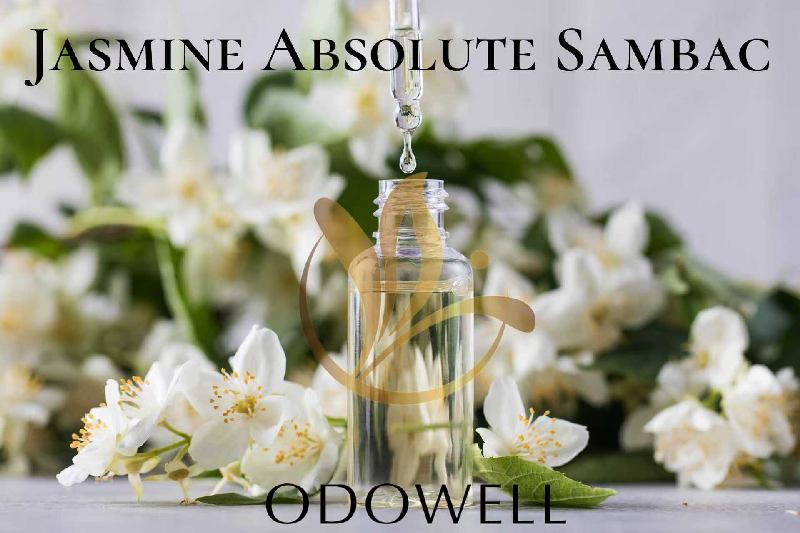 Inilunsad ni Odowell ang Jasmine Absolute Sambac - isang premium na natural na jasmine na ganap para sa pabango at kagandahan