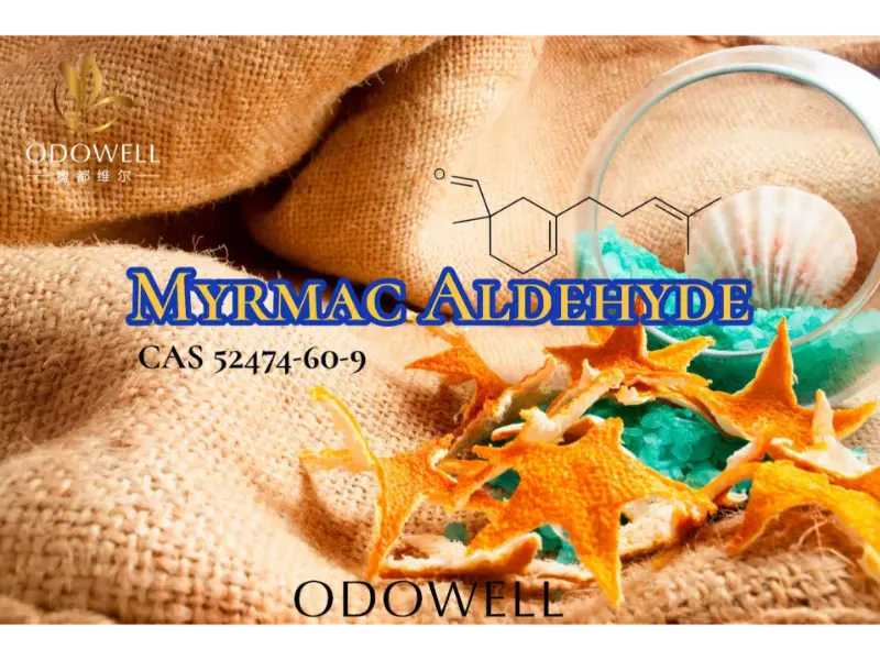 Myrmac Aldehyde – Ozonic Marine Aldehyde ng ODOWELL para sa Sariwang Panlabas na Pabango