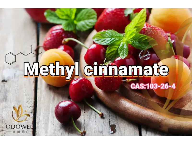 Methyl Cinnamate – ODOWELL's Sweet Fruity-Balsamic Ester para sa Oriental Fragrances