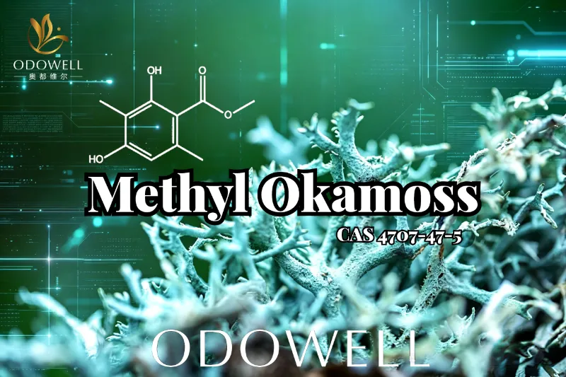 Ipinakilala ng ODOWELL ang Methyl Okamoss: Authentic Synthetic Oakmoss para sa Chypre at Fougère Mastery