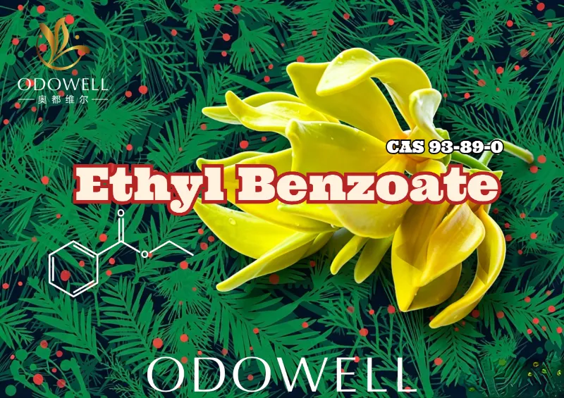 Inilunsad ng ODOWELL ang Ethyl Benzoate: Warm Wintergreen-Ylang Ester para sa Floral at Oriental Elegance