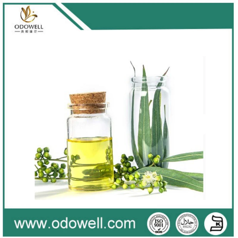 Bakit Nakakakuha ng Traction ang Mga Marka ng Pharmaceutical sa Mga Aplikasyon ng Eucalyptus Oil?