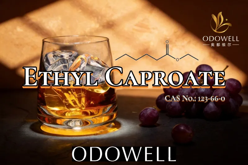 ​Inirerekomenda ng ODOWELL ang Ethyl Caproate para sa Fruity at Like Wine Flavor Applications