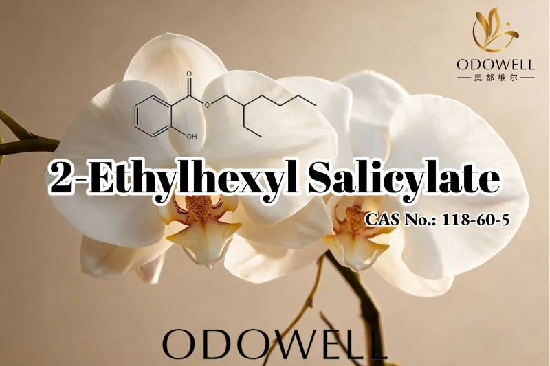Inirerekomenda ng ODOWELL ang 2-Ethylhexyl Salicylate para sa Mga Aplikasyon ng Fragrance, Cosmetics, at Personal na Pangangalaga