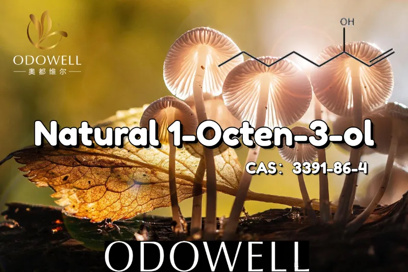 ​Inirerekomenda ng ODOWELL ang Natural na 1-Octen-3-ol para sa Mga Application na Parang Mushroom at Earthy Flavor